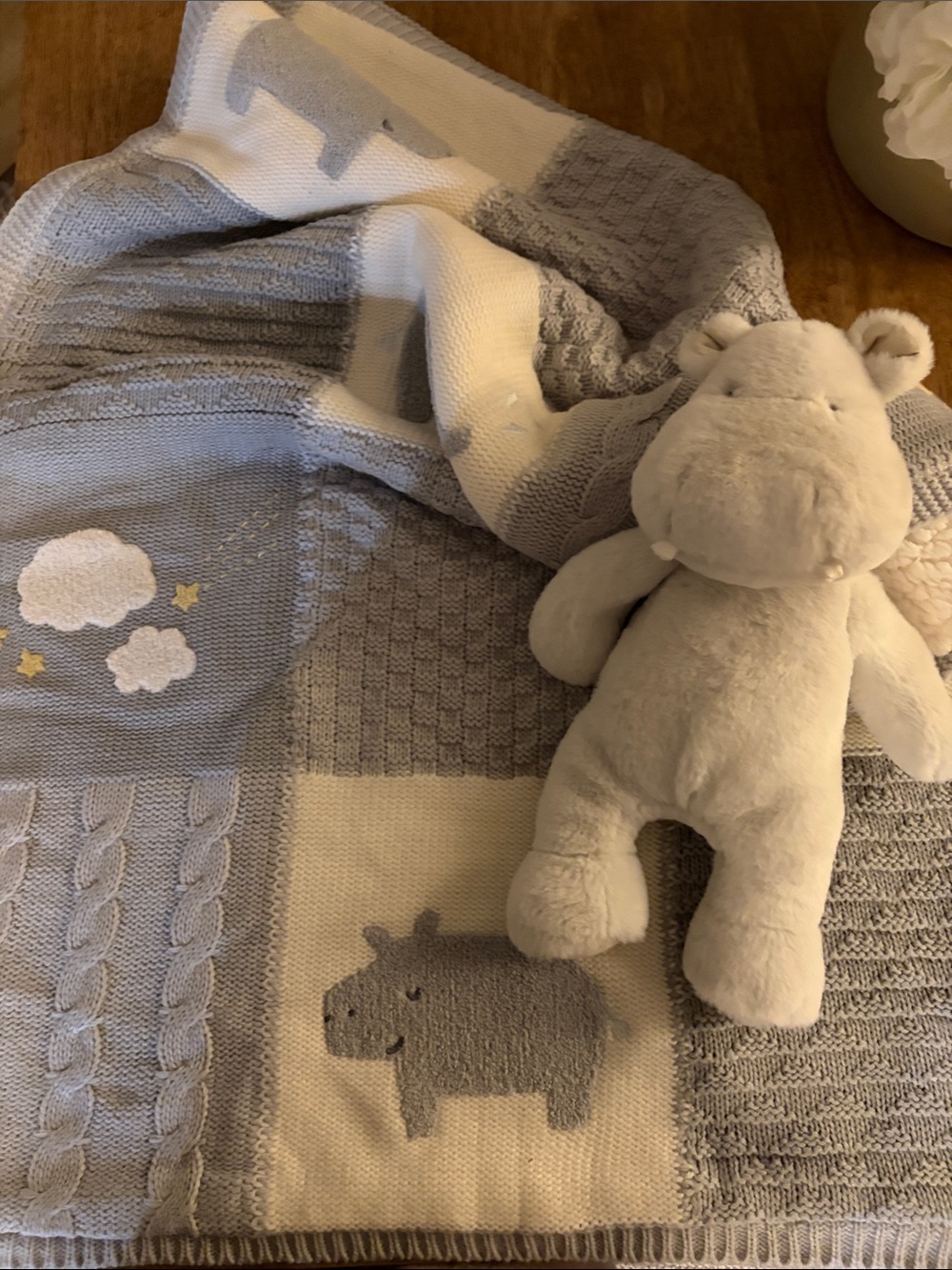 Pottery Barn Kids Gray and Cream Knit Baby Blanket with Plush Texture
